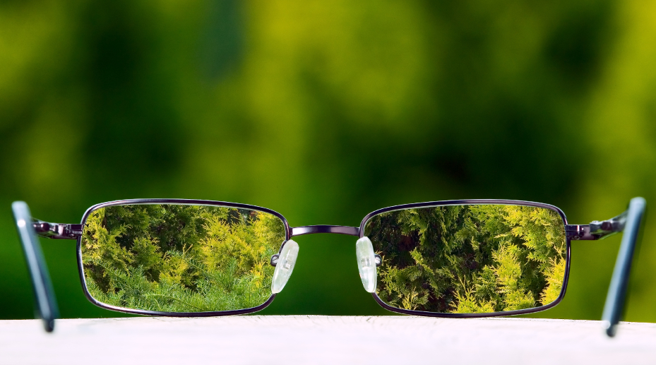 Eyeglasses on green nature background